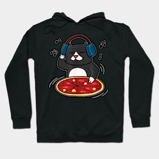 Cute Cat  , Funny Pizza Kitty, DJ Cat By Zany Brainy Hoodie